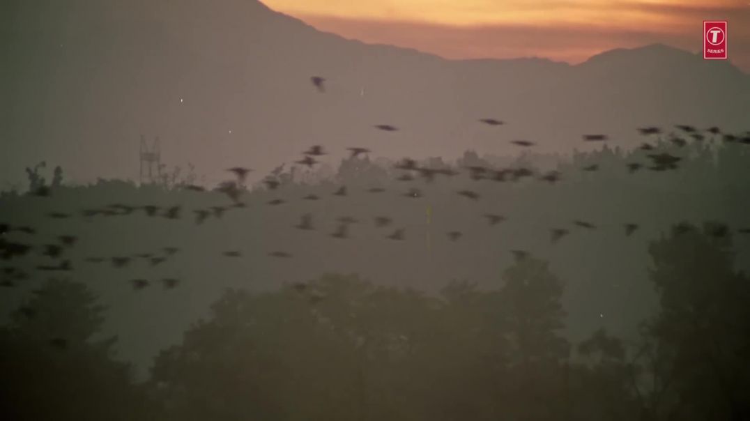 ⁣Subah Subah Le Shiv Ka Naam By Gulshan Kumar_ Hariharan [Full Song] - Shiv Mahima(1080P_HD)