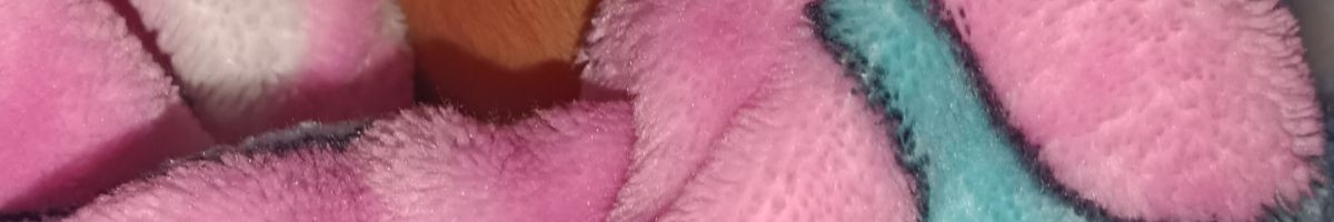 106119387159295977443 