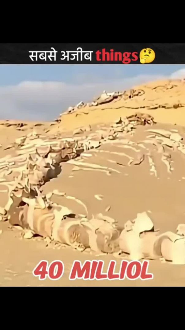 सबसे अजीब things 🤔 Fm-#shorts #short #virel #fact #video