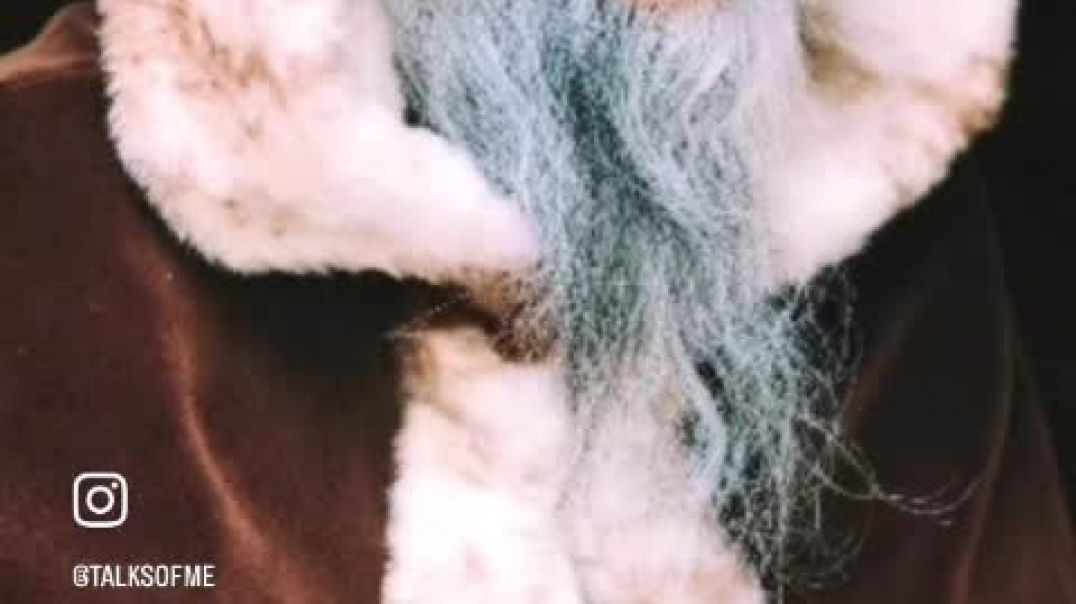 ⁣VID-20251229-WA0001