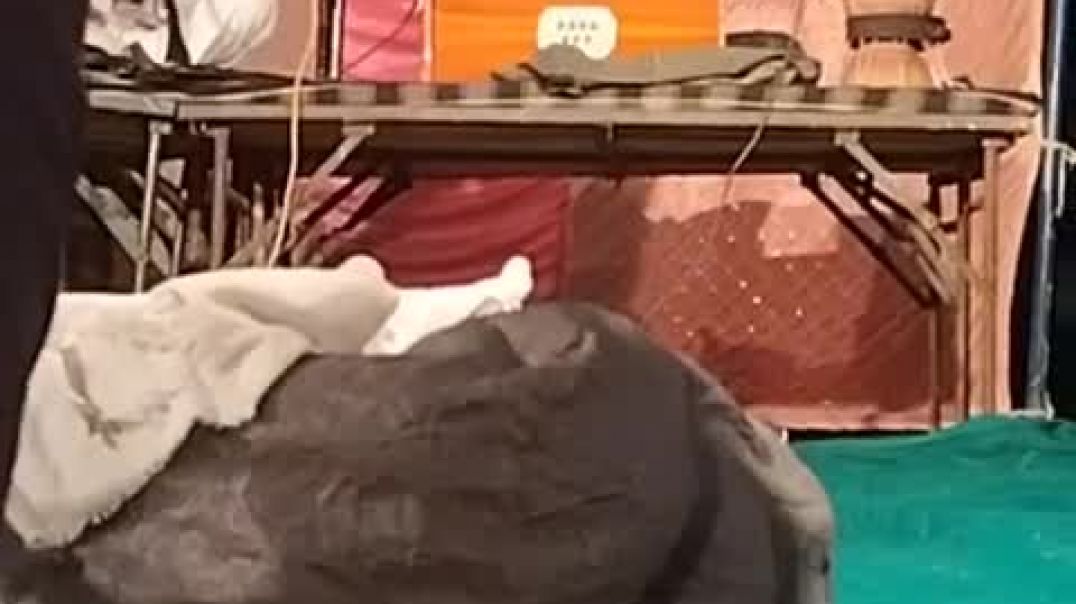 ⁣नखत_बना_रो_पर्चा_नया(480p)