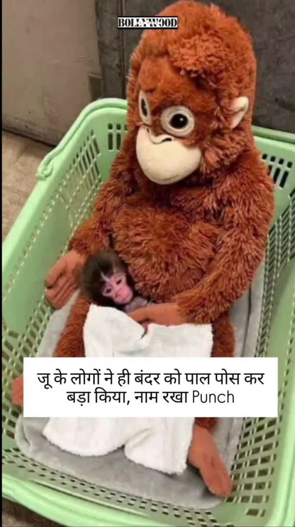 मां नहीं तो खिलौने को मां समझ लिया