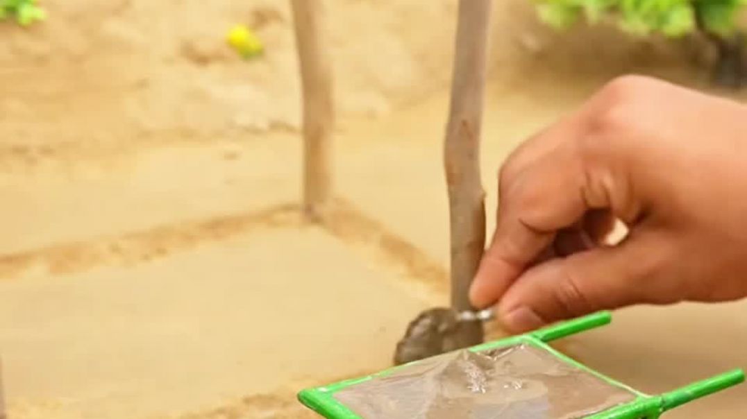 InShot_20260221_105503669