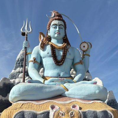 बुद्धिमान 