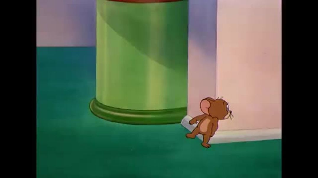 Tom___Jerry___Cats_Vi