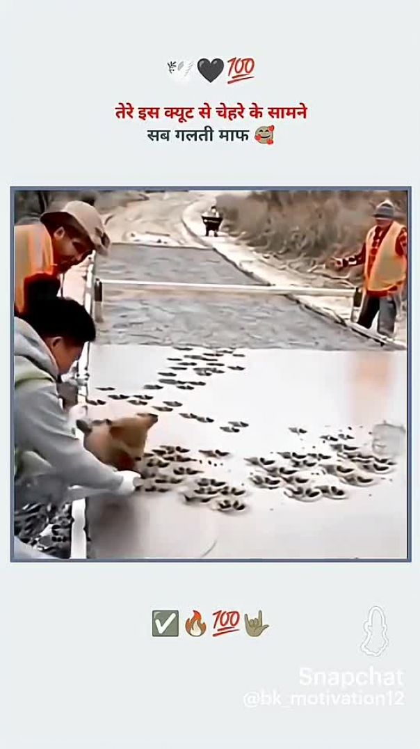 Short video 😆🥰🥰 trending video reels like comment share