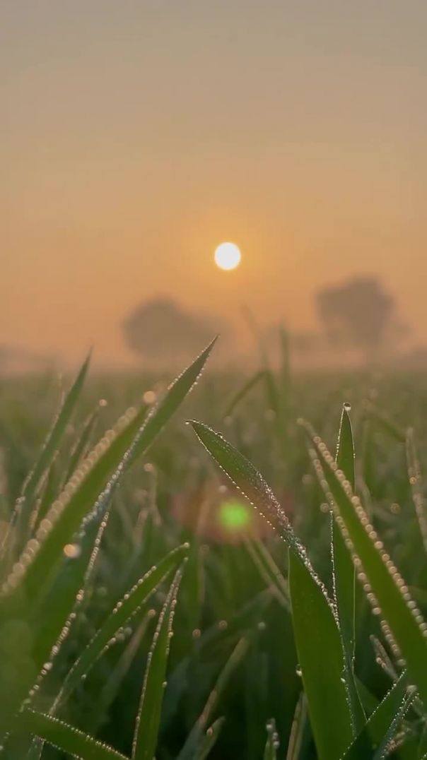 praveen_chaudhary_9557-AQM1KNtb8bsQnd-hbunnV22WtI3JLj54O-fVl8XdxmidReyzgPdO9n40MGwMENHhx-6QqoObgvmth