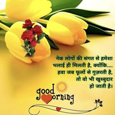 118360134377903887776 