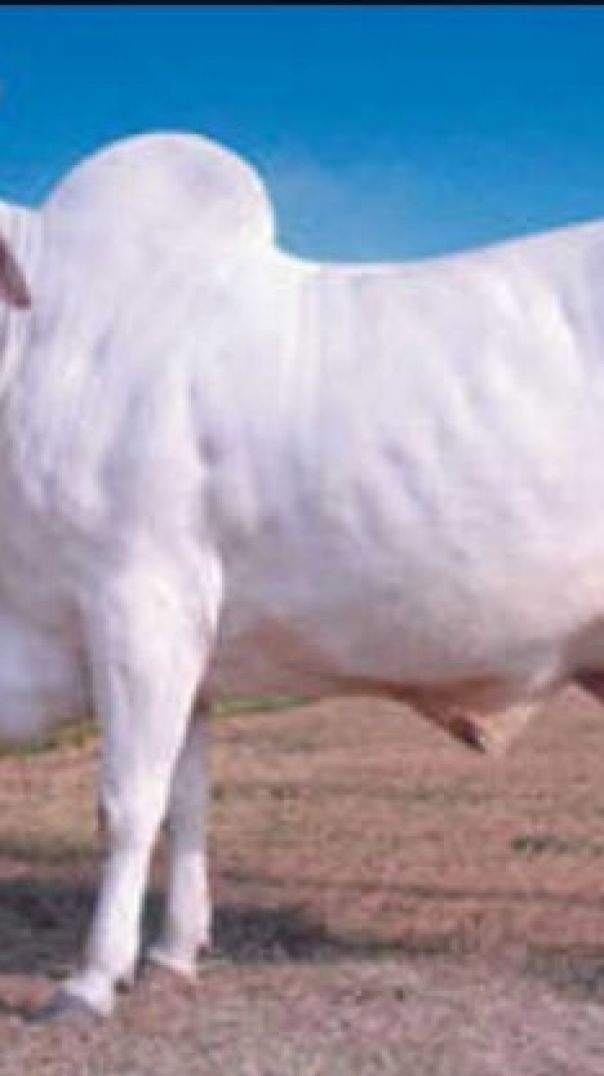 InShot_20260207_181056110