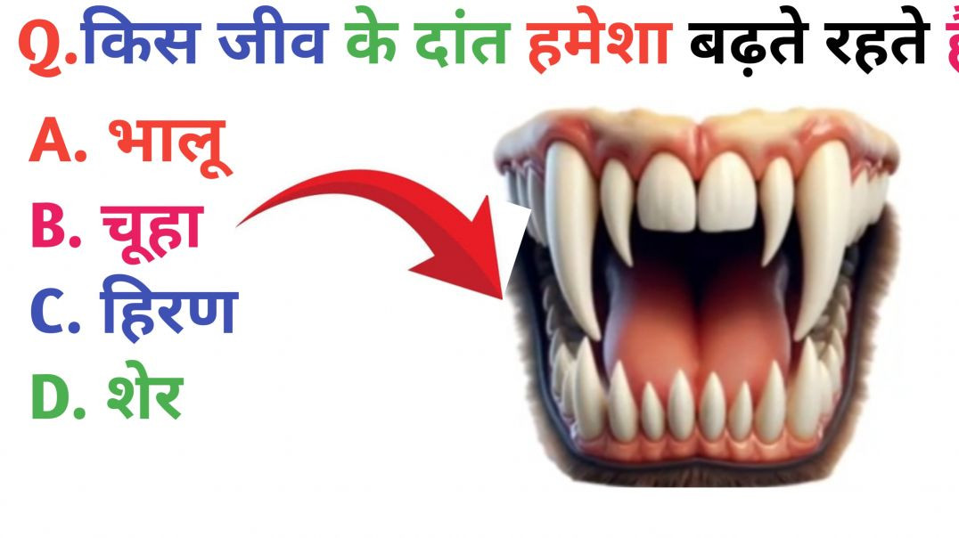 ⁣GK Question || GK In Hindi || GK Question and Answer || GK Quiz || Riya Rawani|| 10