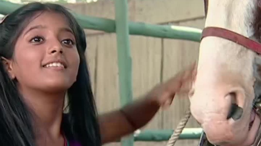 ⁣_1770049018681(720p)