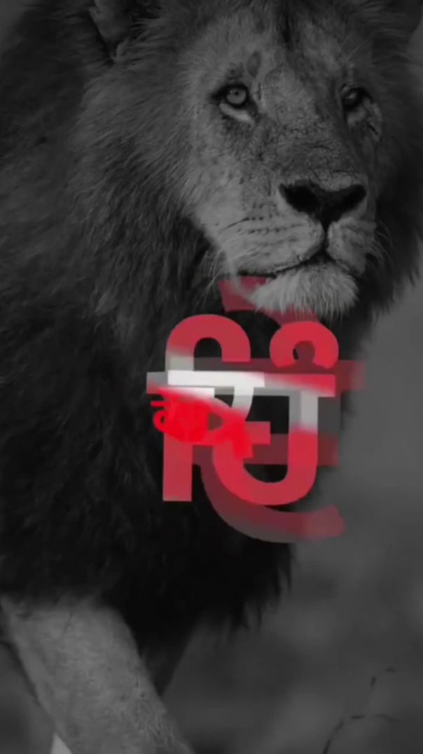 VID_20260209_055102_346