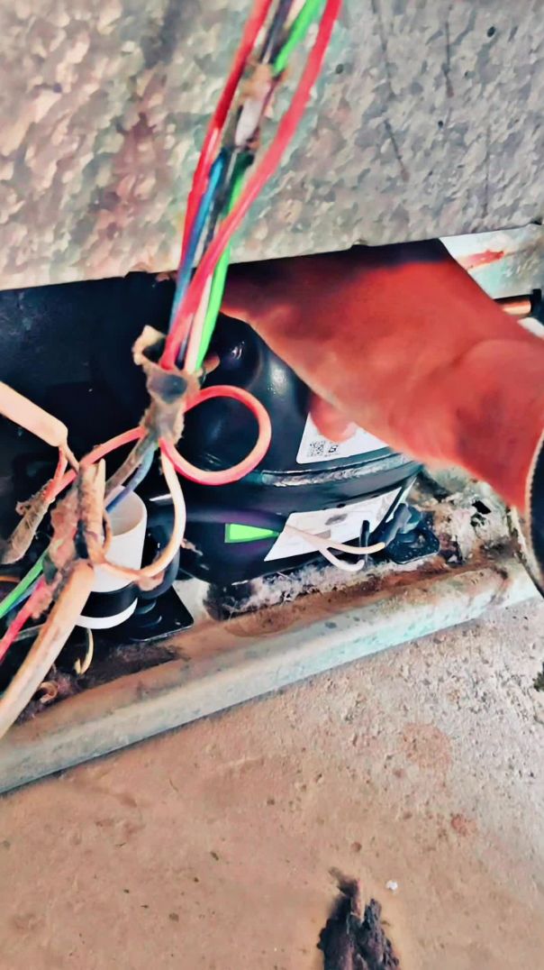 lv_7537639714698923325_20260215182311