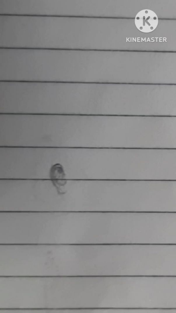 Drawing Front View Ear