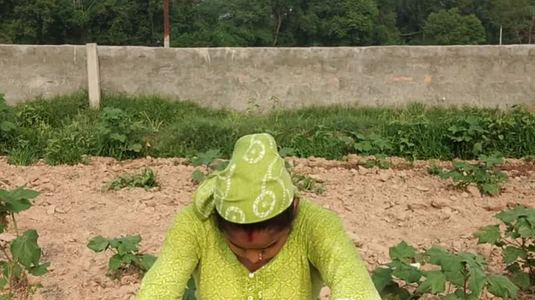 ⁣Sunita Rathor vlogs लाइव वीडियो में आप सभी का दिल ❤️ से स्वागत है(1080P_HD)