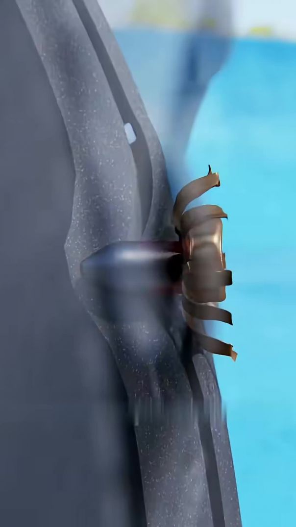 VID_20260205_122203_007