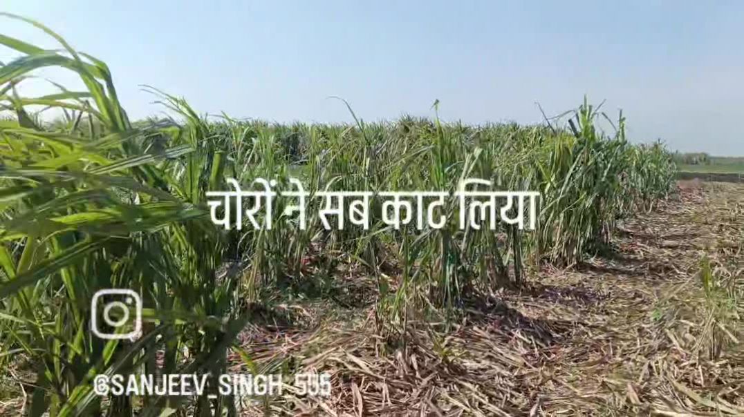 VID_20260210_230035_460