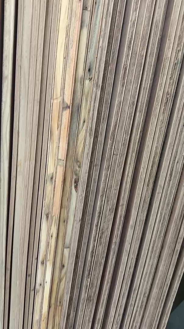 video_20260203_123130