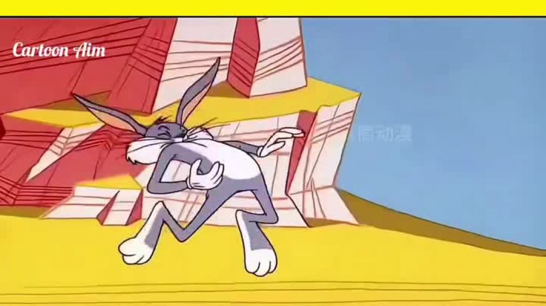 ⁣Khargosh aur bhediye Ki ladai