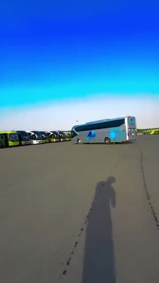 Bus lover viral video