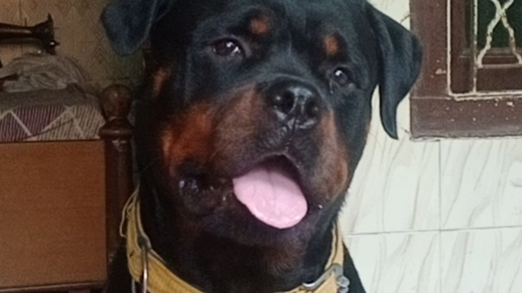 ⁣Kya baat hai Billu