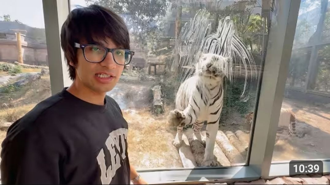 Tiger_Ne_Dara_Diya_Vantara_Vlog_