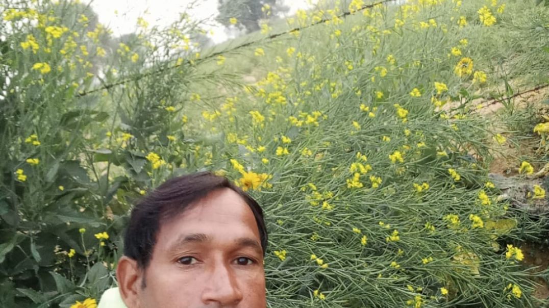 ⁣#पितर_दादा_गांव_बांसवाड़ा_गांव##babatanchhtri_#pitrdadaji_#3000000000😀😃😀😃🥰😍#10000_like_video_mein(360p)