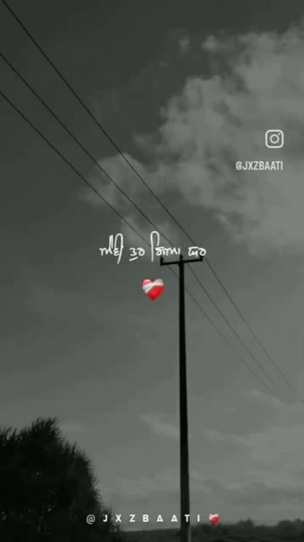 video_20260206_203652_edit
