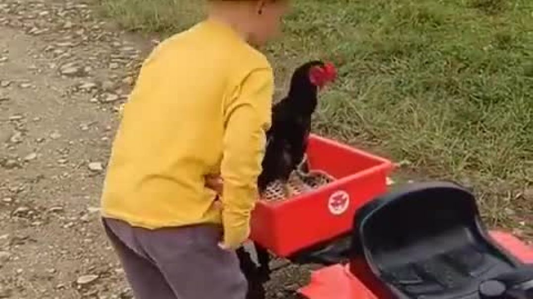 ⁣Old McDonald had a form