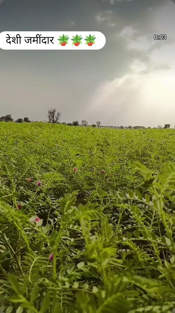 VID_20260210_230246_835