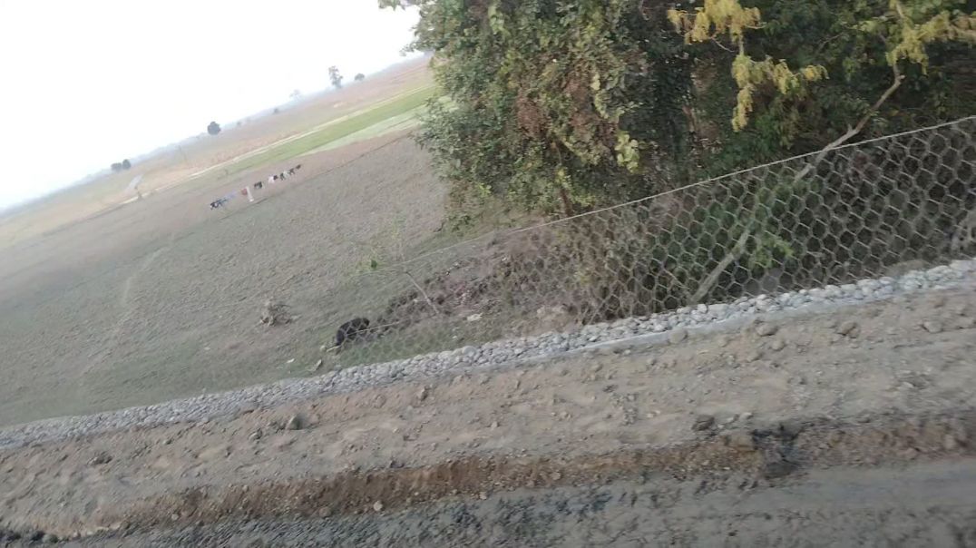 ⁣Assam local program mein lete Masti 😱😆😱