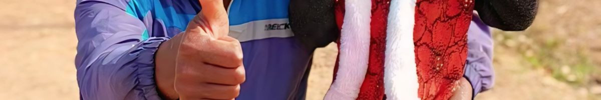 Sunilkumar25