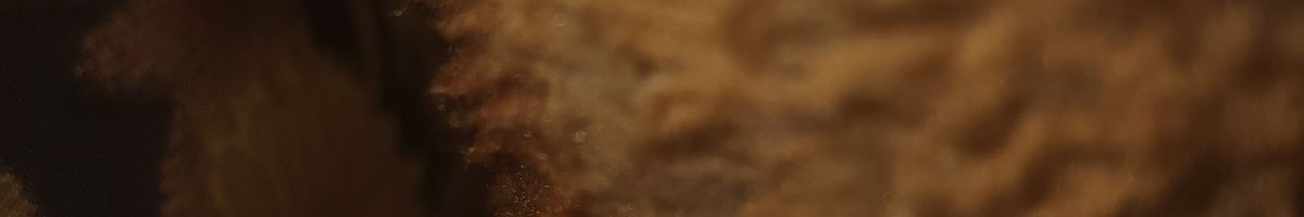 116030952880070037851 