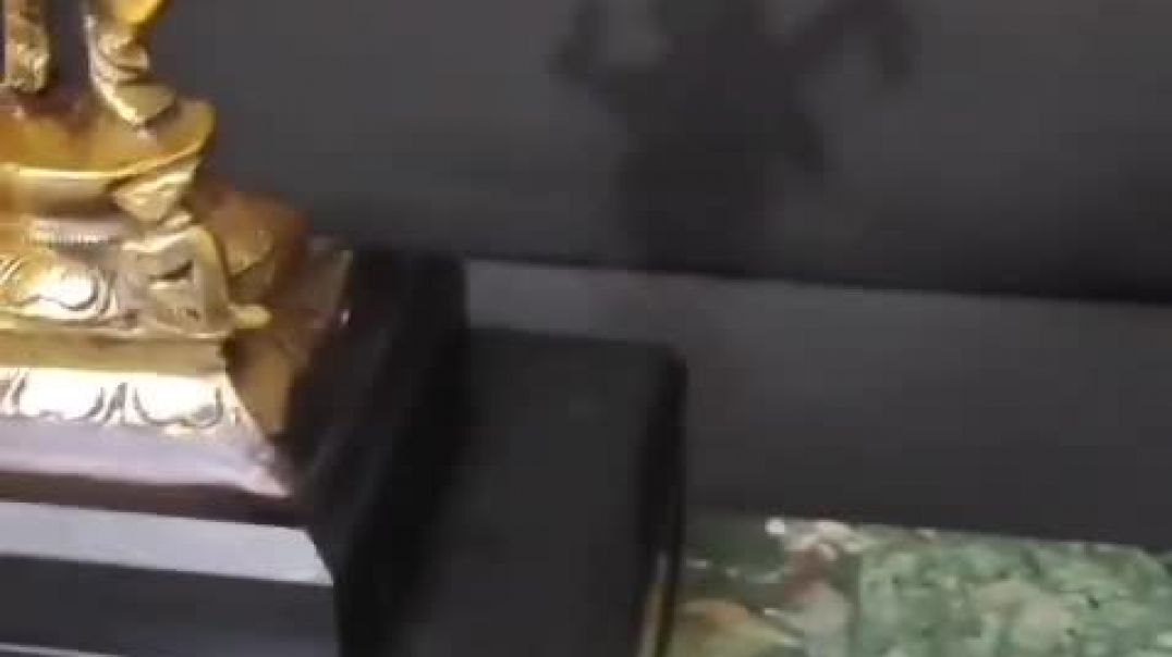 ⁣VID-20260122-WA0002