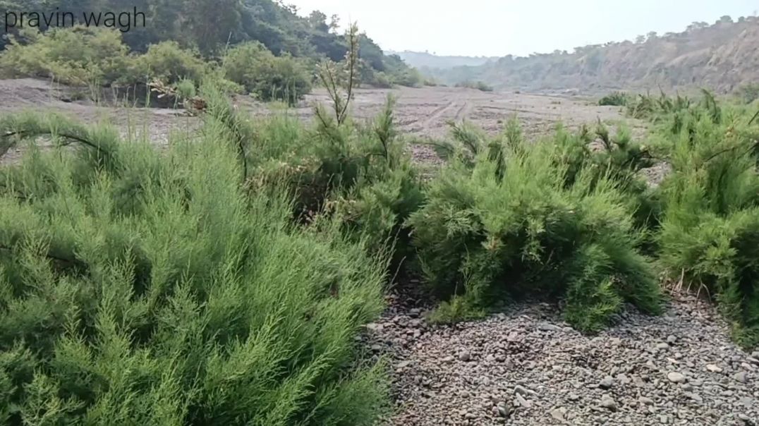 ⁣Best vlog video 😍🥰||viral vlog||training vlog