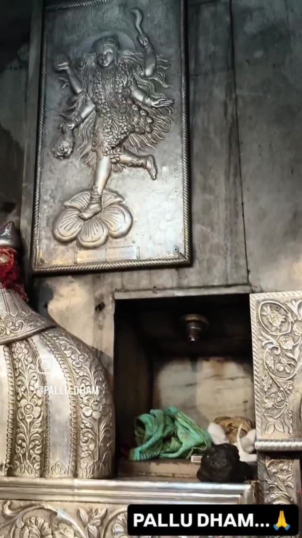 जय माता रानी पल्लू वाली🙏 माई chelan ko subscribe Karo na