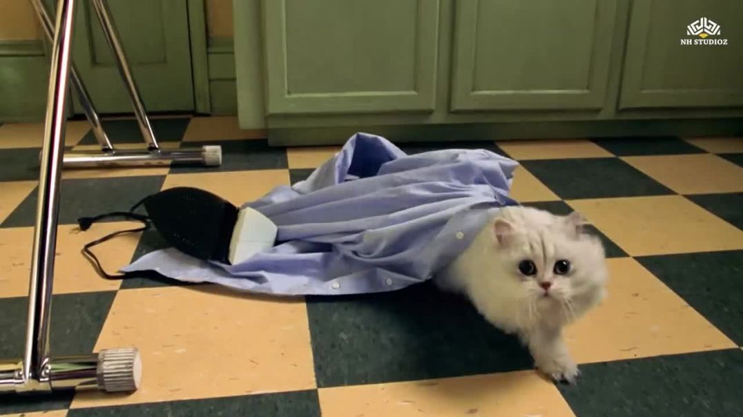 ⁣Snowbell_ने_दी_Stuart_little_की_सुपारी___जंगली_बिल्लियों_का_शिकार_बना_चूहा___Kids_Comedy_Video(720p)