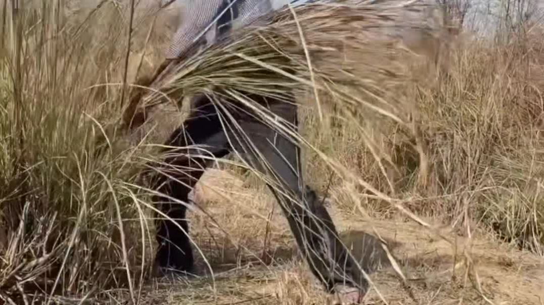 VID_20260215_094814_191