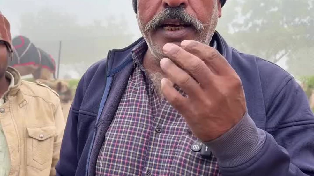 ⁣Old is gold, old cultureis best