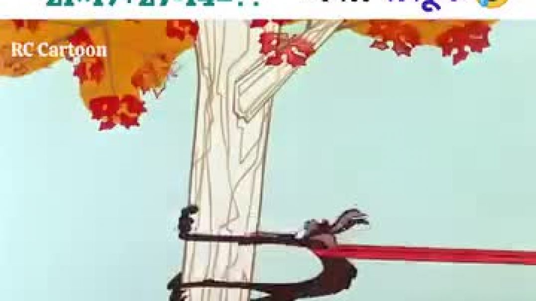 ⁣Kute ke sath huaa bura vahivar kartunvideo storier😁😁😄😄🤣🤣🤣🤣)