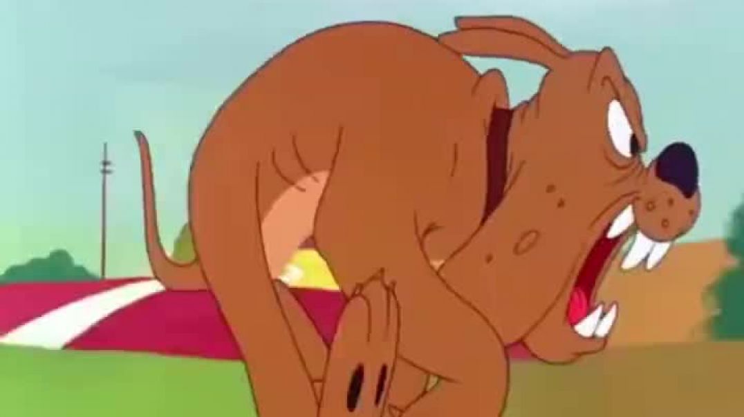 Camera_xhs_1770615958229