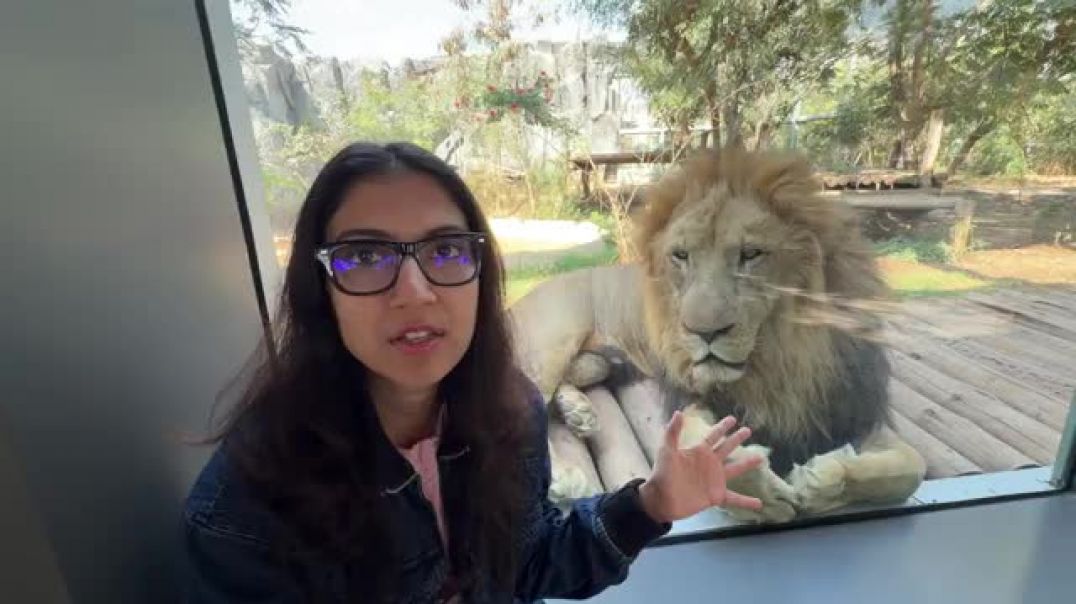 ⁣Tiger_Ne_Dara__Diya_😲_Vantara_Vlog(360p)