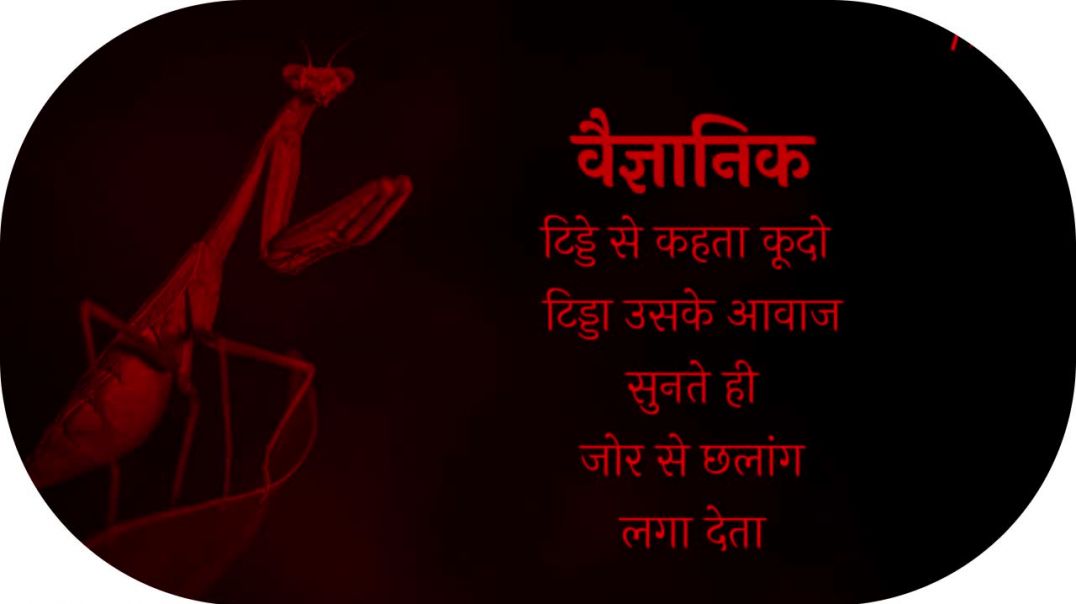 ⁣भगवान बुद्ध के सुविचार