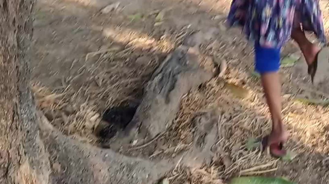 ⁣Talab bada🥰🥰