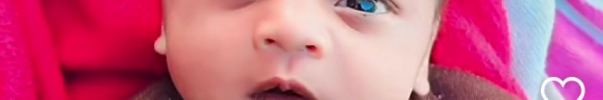 114067035614264558662 