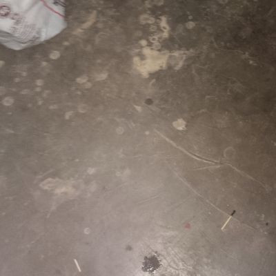 118355799902369155784 