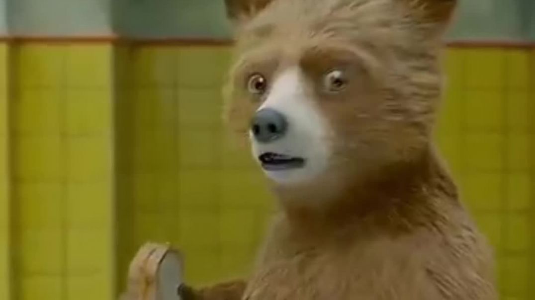 ⁣छोटा भालू