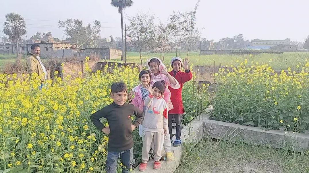 video_20260206_164248