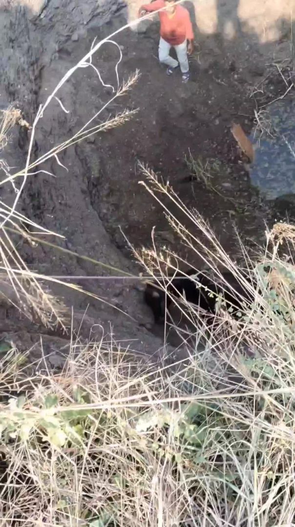 video_20260122_163959_edit