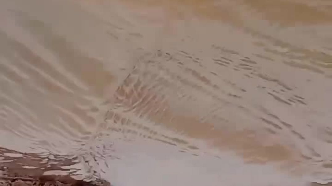 ⁣Blogging video viral video trending 🔥💯 popular 😱